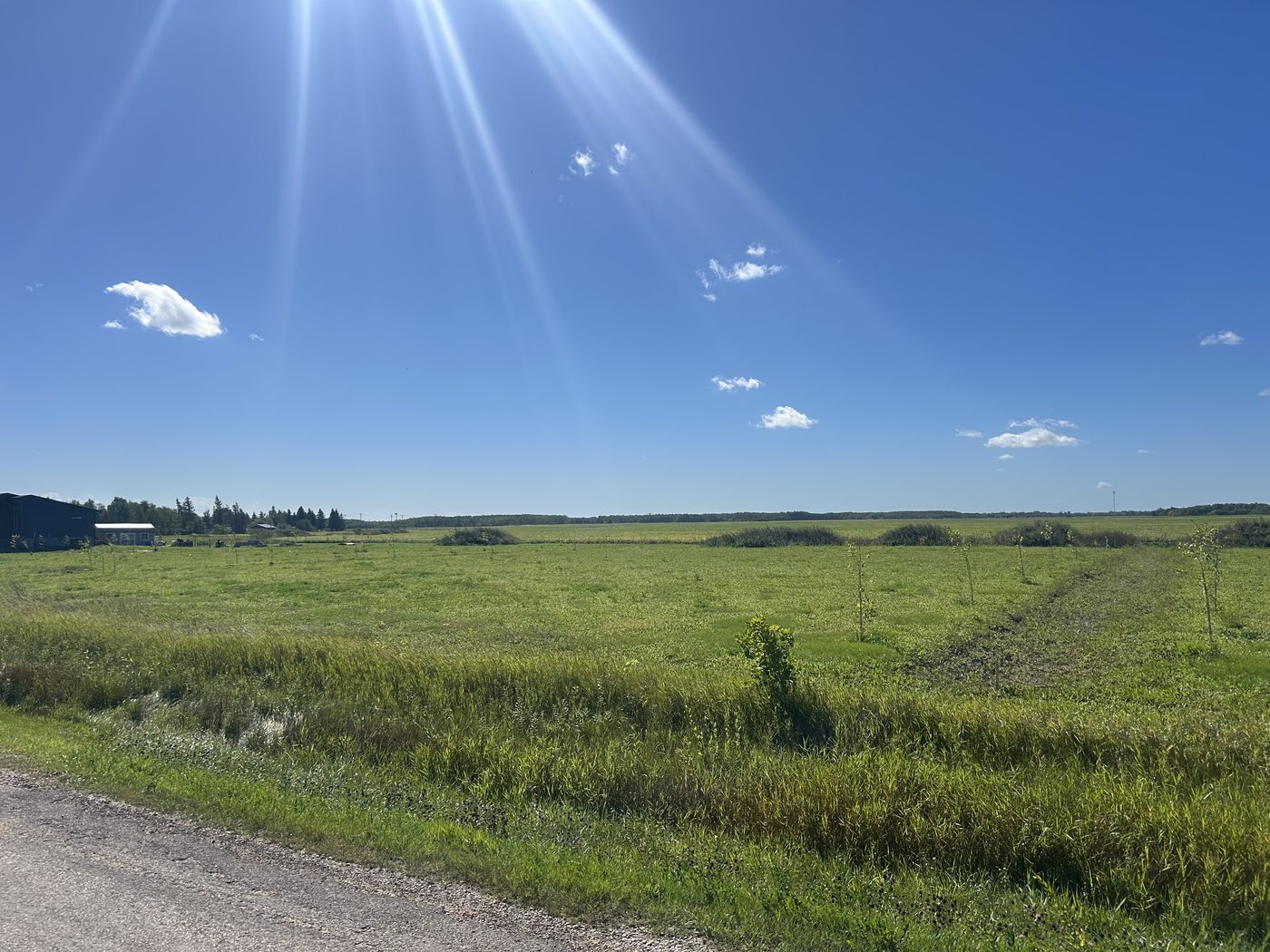 Lot 3 on Palmer Road, seen from the road across open grass to the treeline