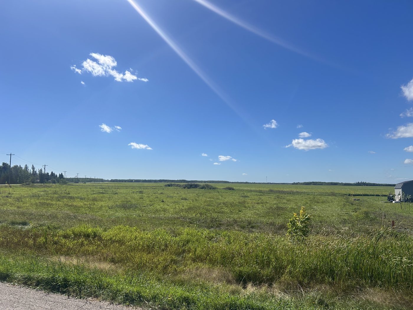 Lot 6 on Palmer Road, seen from the road with the neighbouring yard to the right