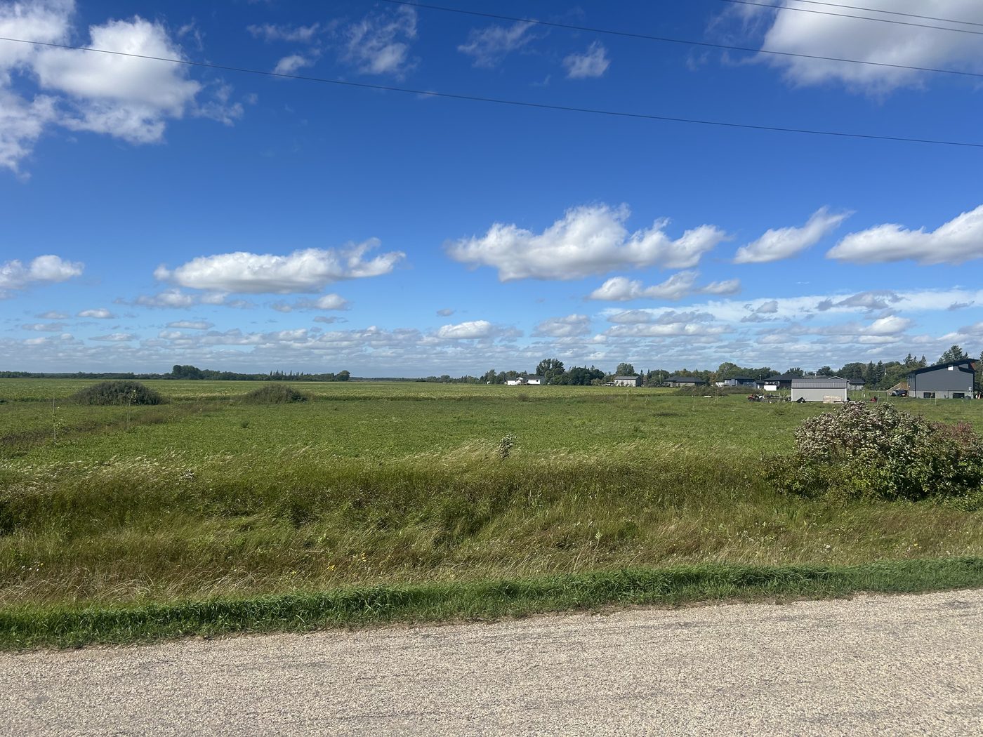 Lot 7 on Palmer Road, seen from the road with houses along the far side