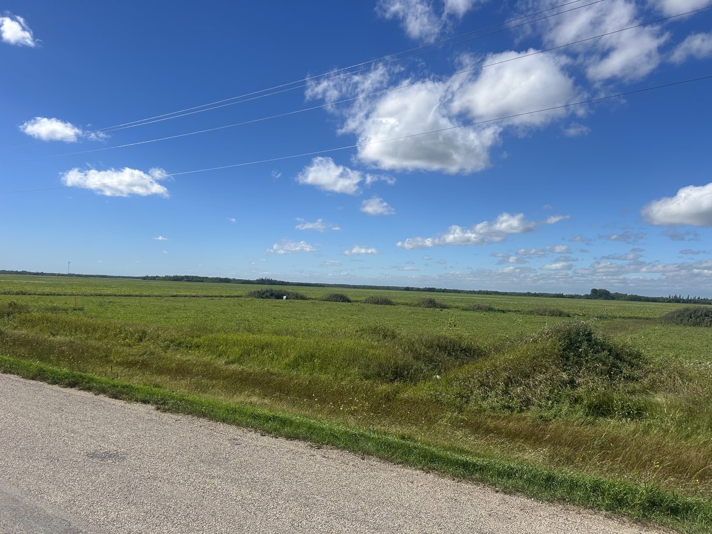 Lot 8 on Palmer Road, the largest lot, seen from the paved road across open grass